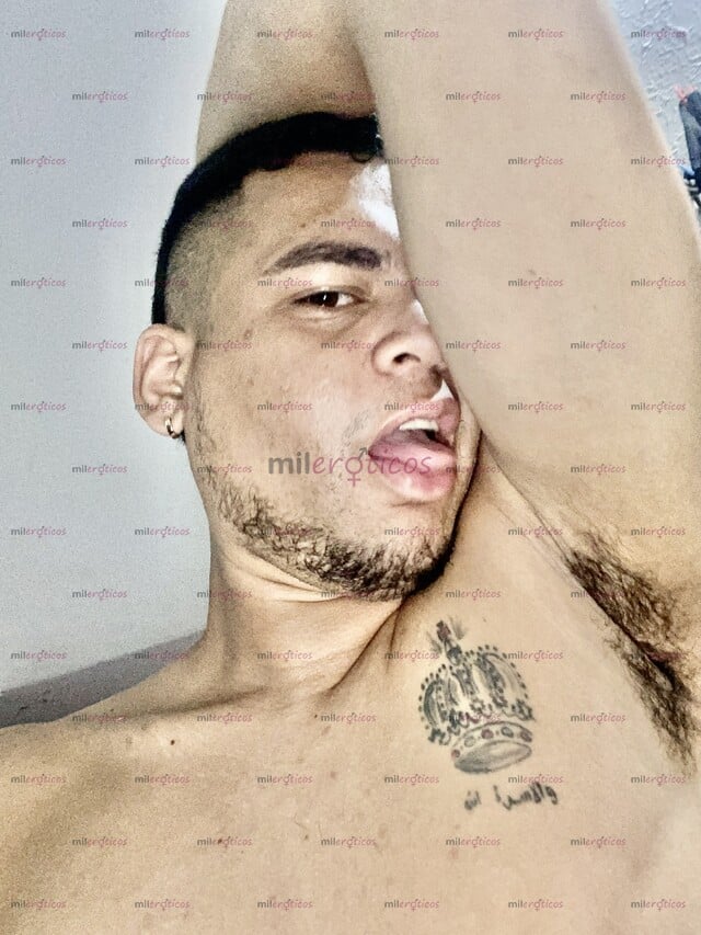 FOTOS DE POLLO VERSÁTIL 100% DISPUESTO A COMPLACERTE EL QUE COME CALLADO REPITE