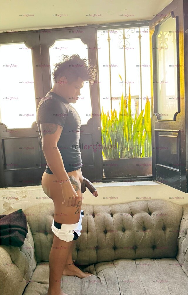 FOTOS DE HOY EN CDMX VERGON NALGON VERGA DUBALIN ACTIVO 19.5CM CON LUGAR