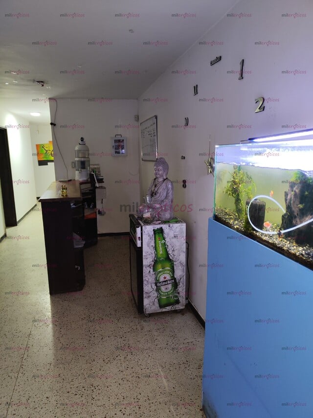 FOTOS DE CASA DE CITAS EN BUSCA DE CHICAS QUE QUIERAN TRABAJAR