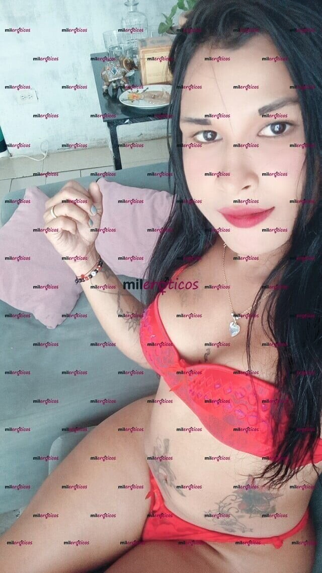 FOTOS DE CHICA TRANS VERGONA DOTADA LA MAS DESEADA