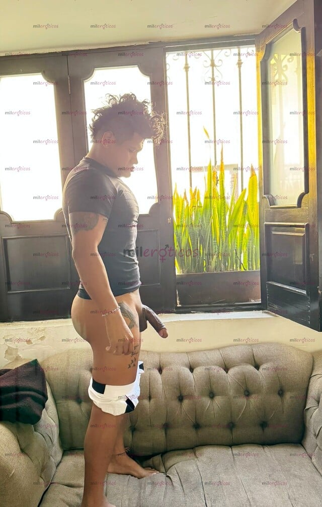 FOTOS DE NUEVO HOY 19.7 CM DE VERGA LO MEJOR DEL PORTAL VERGA DE DUBALIN ACTIVO