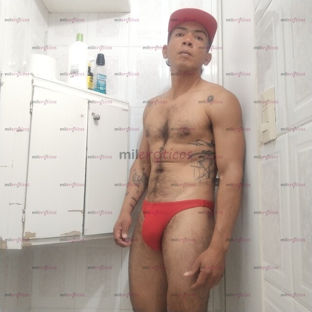 FOTOS DE CHAKAL EN CIUDAD DE MÉXICO , COMPLACIENTE 100% ACTIVO