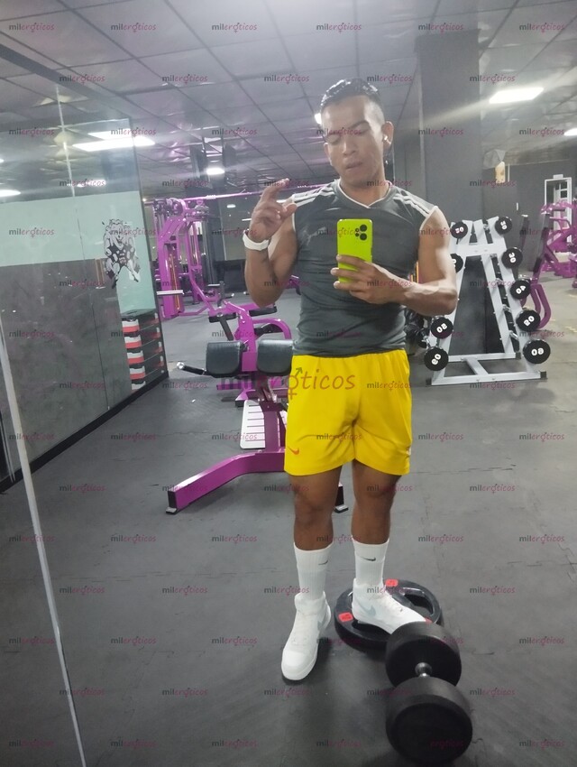 FOTOS DE CHAKAL EN CIUDAD DE MÉXICO , COMPLACIENTE 100% ACTIVO