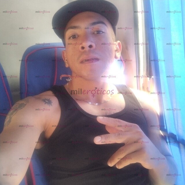 FOTOS DE CHAKAL EN CIUDAD DE MÉXICO , COMPLACIENTE 100% ACTIVO