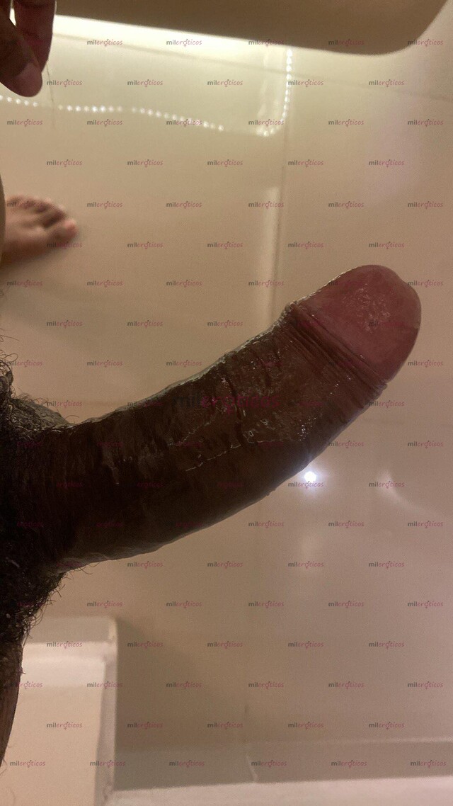 FOTOS DE MAEL EL NEGRO PARTE PERRAS DE BARRANQUILLA EN TU CIUDAD.