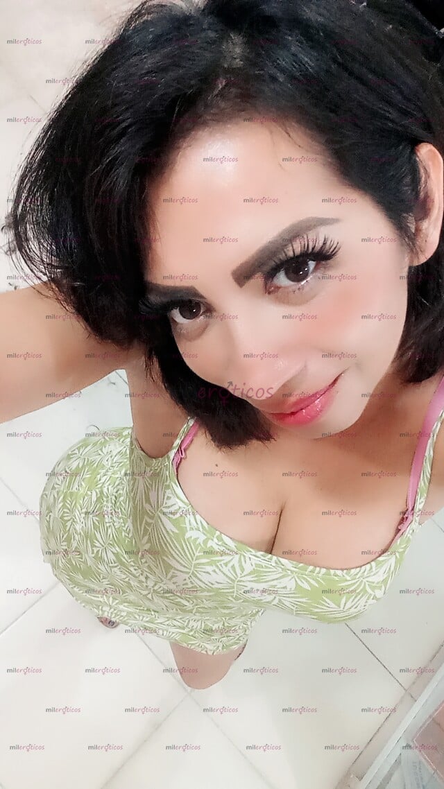 FOTOS DE ARELI CHICA TRANSEXUAL GUAPA DELGADA NALGONA TETONA AGRADABLE Y COMPLACIENTE Y