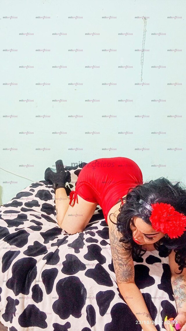 FOTOS DE MASAJE PROSTÁTICO CON MI LENGÜITA O CON MI VERGOTA GRUESA DE BURRO SEMENTAL