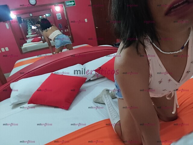 FOTOS DE HOLA PAPI SOY UNA ZORRITA CALIENTE EN BUSCA DE UN MACHO CON QUIEN FUMAR BEBER Y