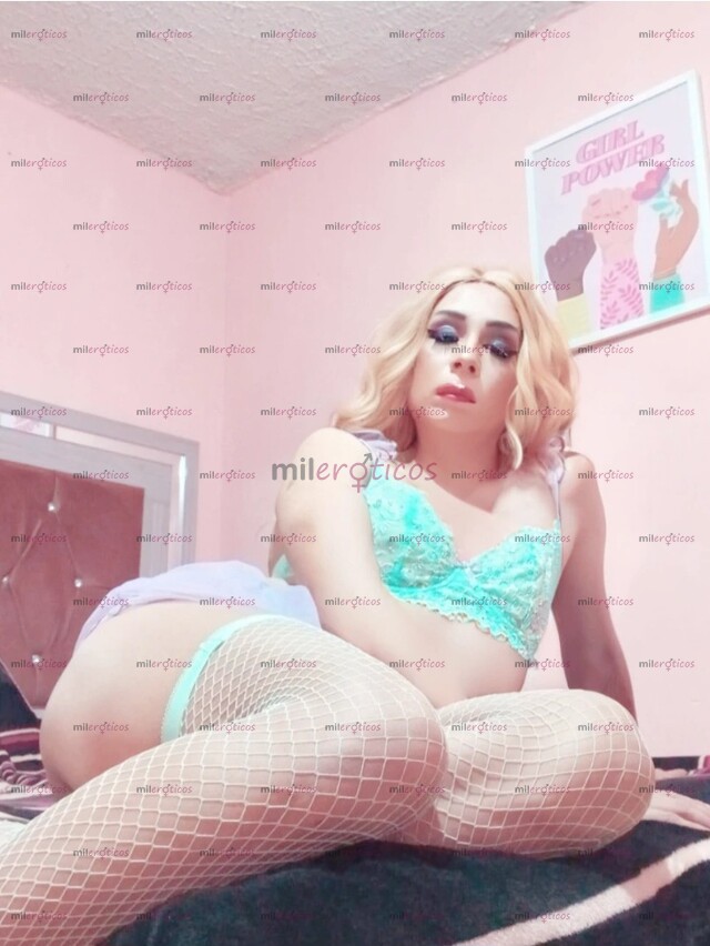 FOTOS DE NALGONCITA CACHONDA CON LUGAR DESDE $450 POR B. ANAYA