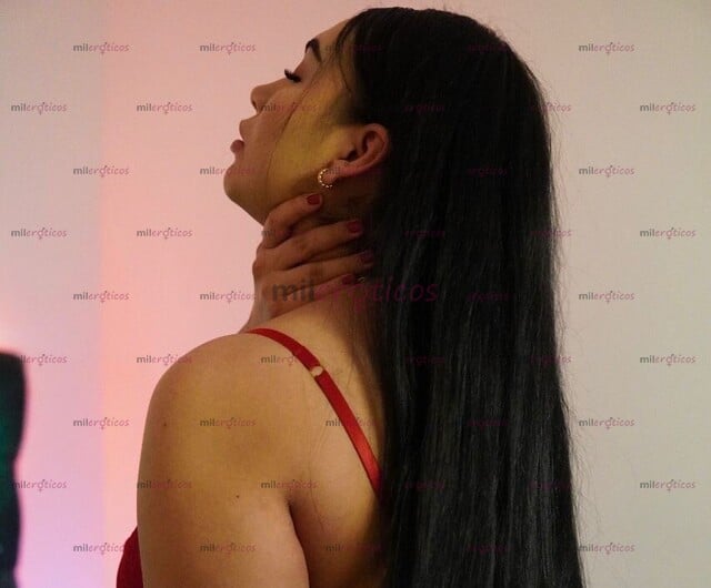FOTOS DE TU MEJOR ESCAPE DE LA RUTINA ESTÁ A UN MENSAJE DE DISTANCIA SCORT VIP