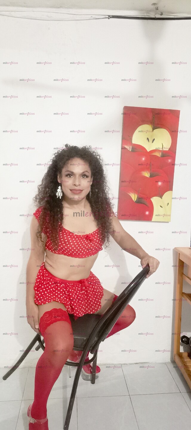 FOTOS DE TRIVIANI VELÁZQUEZ. CHICA TRASVESTI DISPONIBLE