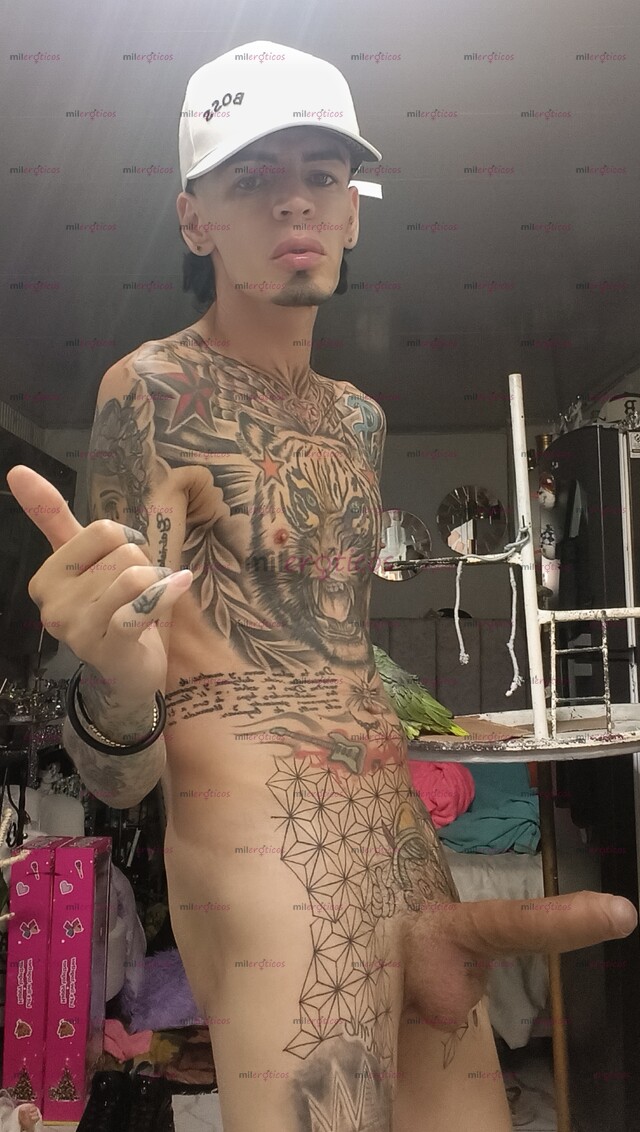 FOTOS DE FLACO ACTIVO BLANCO TATUADO MORBOSO CON SITIO