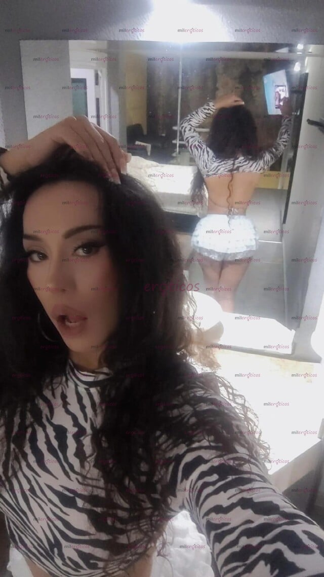 FOTOS DE DISFRUTA DE ESTA TRANNY DE CONFIANZA ,CUMPLE TUS FANTASIAS .