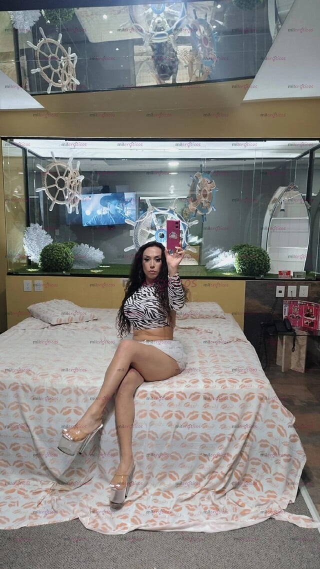 FOTOS DE DISFRUTA DE ESTA TRANNY DE CONFIANZA ,CUMPLE TUS FANTASIAS .