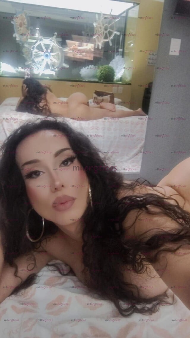 FOTOS DE DISFRUTA DE ESTA TRANNY DE CONFIANZA ,CUMPLE TUS FANTASIAS .