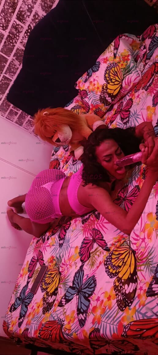 FOTOS DE HOLA NUEVA EN TU CIUDAD AMOR EN EXÓTICA LINDAS CURVAS SÚPER ARRECHA