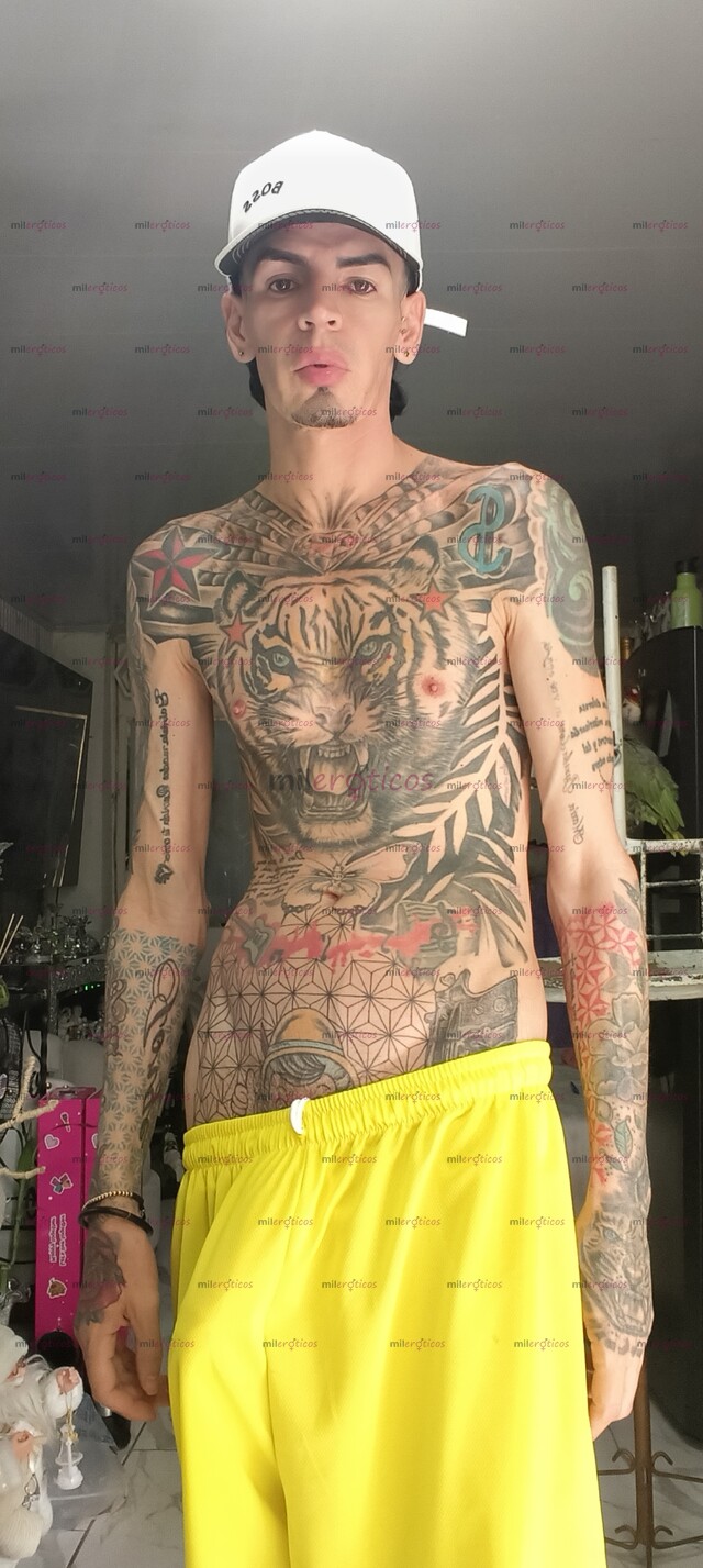 FOTOS DE FLACO VERGON ACTIVO TATUADO BLANCO ARRECHO