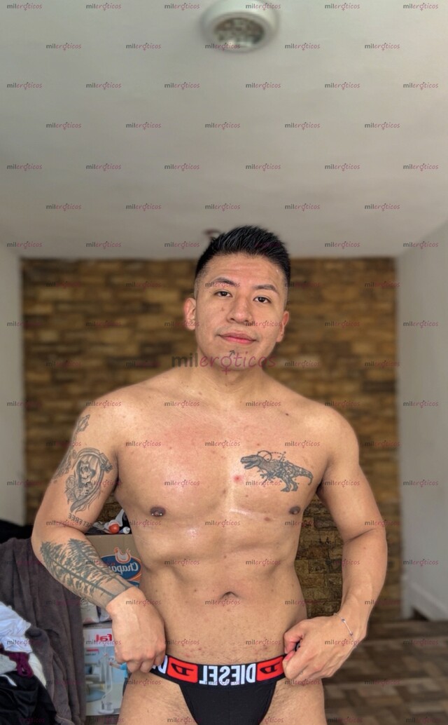 FOTOS DE CHACAL MEXICANO VERGON PARA COMPLACERTE ACTIVO VERSÁTIL