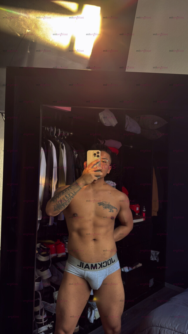 FOTOS DE CHACAL MEXICANO VERGON PARA COMPLACERTE ACTIVO VERSÁTIL