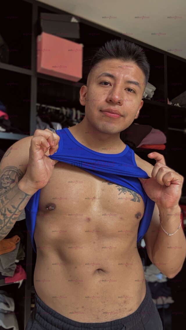 FOTOS DE CHACAL MEXICANO VERGON PARA COMPLACERTE ACTIVO VERSÁTIL