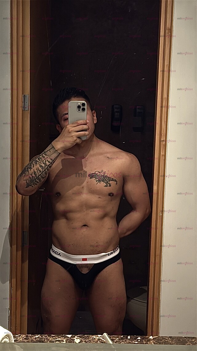 FOTOS DE CHACAL MEXICANO VERGON PARA COMPLACERTE ACTIVO VERSÁTIL