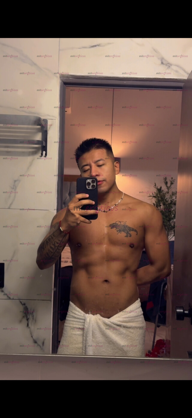 FOTOS DE CHACAL MEXICANO VERGON PARA COMPLACERTE ACTIVO VERSÁTIL