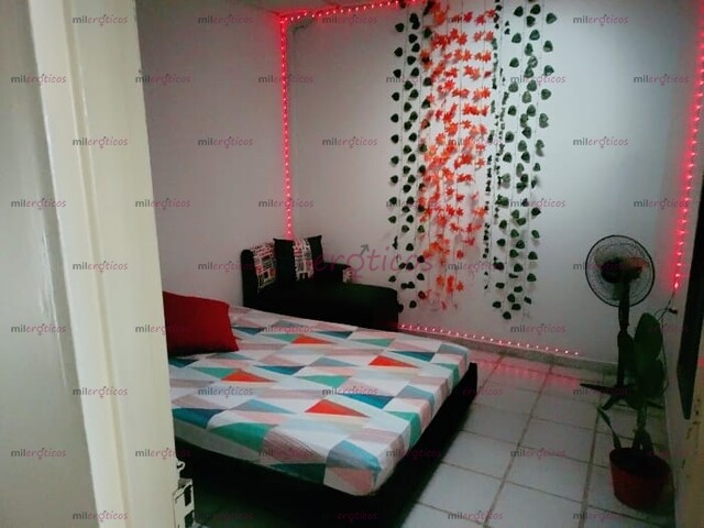 FOTOS DE HABITACIONES EN ALQUILER EN PALMIRA PARA VIAJERAS QUE DESEEN UN SITIO TRANQUILO.