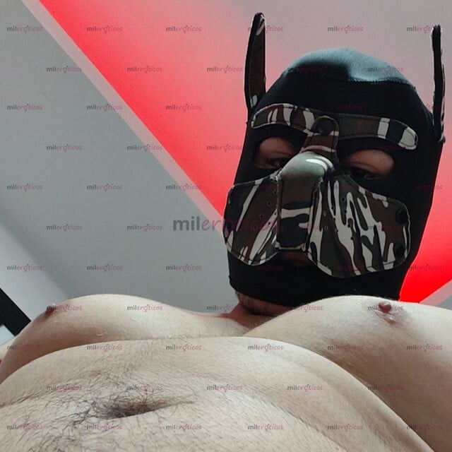 FOTOS DE ZANE; ACTIVO DOMINANTE, FORNIDO GORDIBUENO, BIEN DOTADO, EXPERIMENTADO, KINKSTER