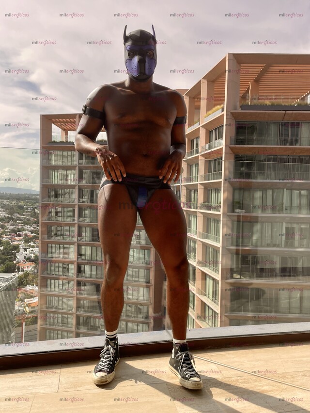 FOTOS DE CUBANO XL DE CHOCOLATE EN GUADALAJARA . MORBOSO, COMPLACIENTE, CALIENTE