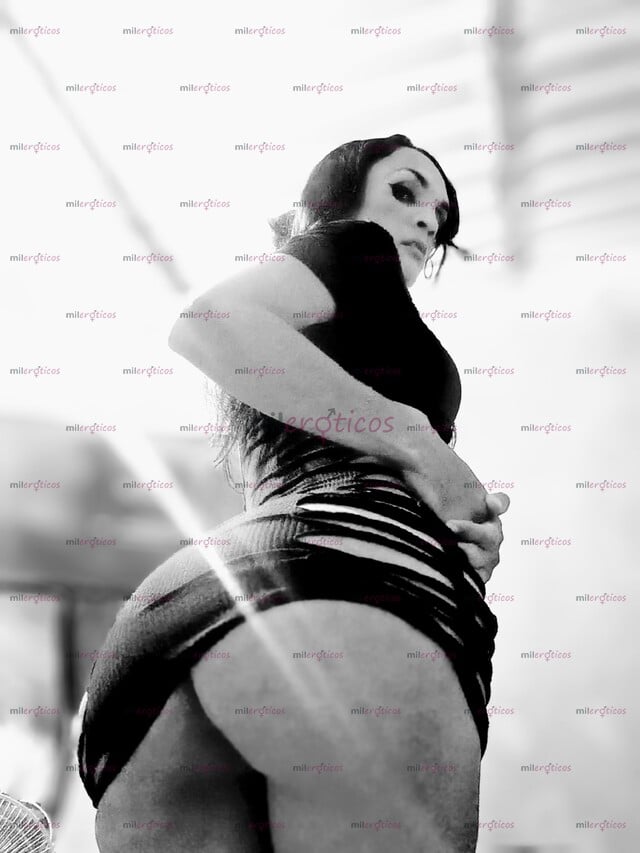 FOTOS DE CULOTE Y VERGOTA SIN PROBLEMA DE ERECCIÓN HOTEL Y MOTEL Y DOMICILIO