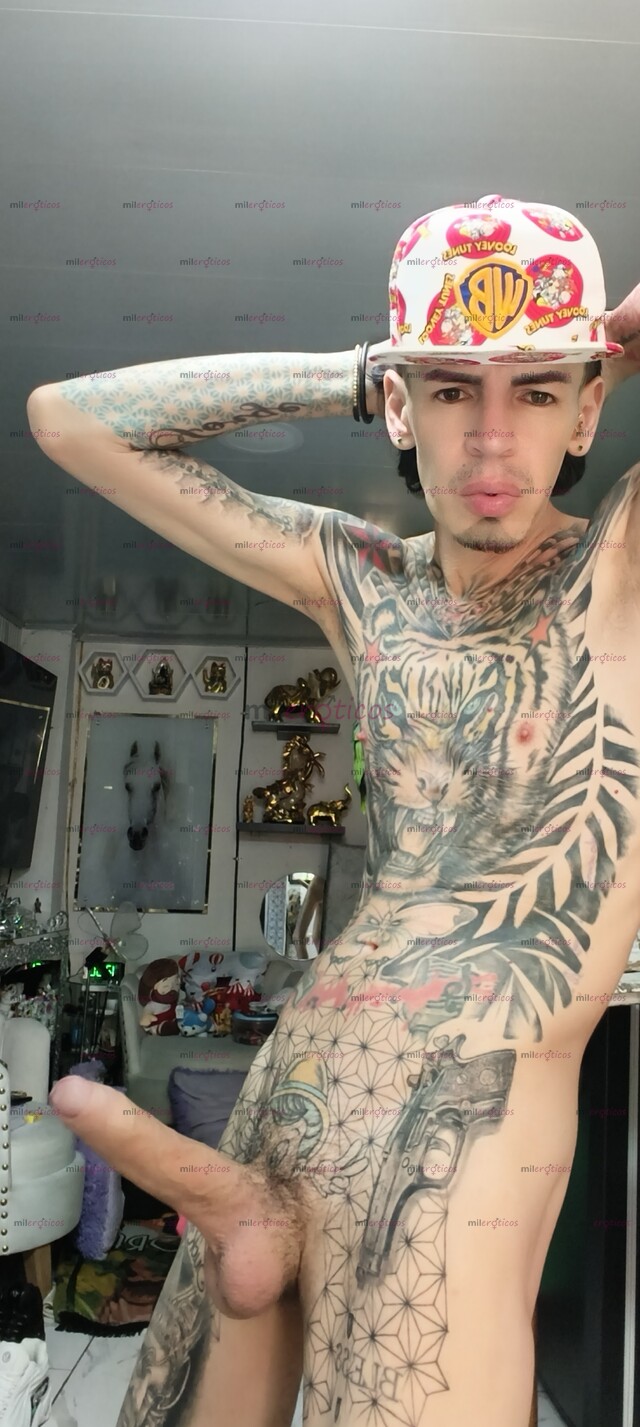 FOTOS DE FLACO TATUADO. VERGON SERIO RESERVADO BLANCO