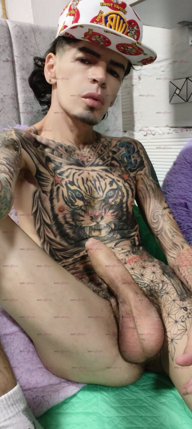 FOTOS DE FLACO TATUADO. VERGON SERIO RESERVADO BLANCO