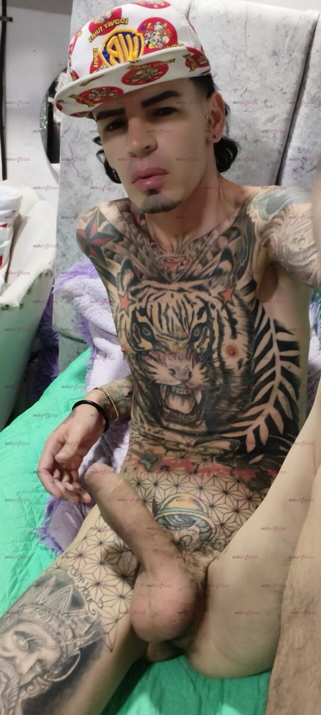 FOTOS DE FLACO TATUADO. VERGON SERIO RESERVADO BLANCO