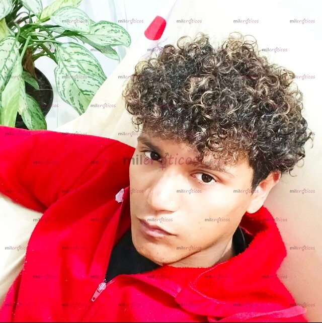 FOTOS DE CHOCO TRANQUILO Y RELAJADO ESPERANDO A VER QUÉ SE DA