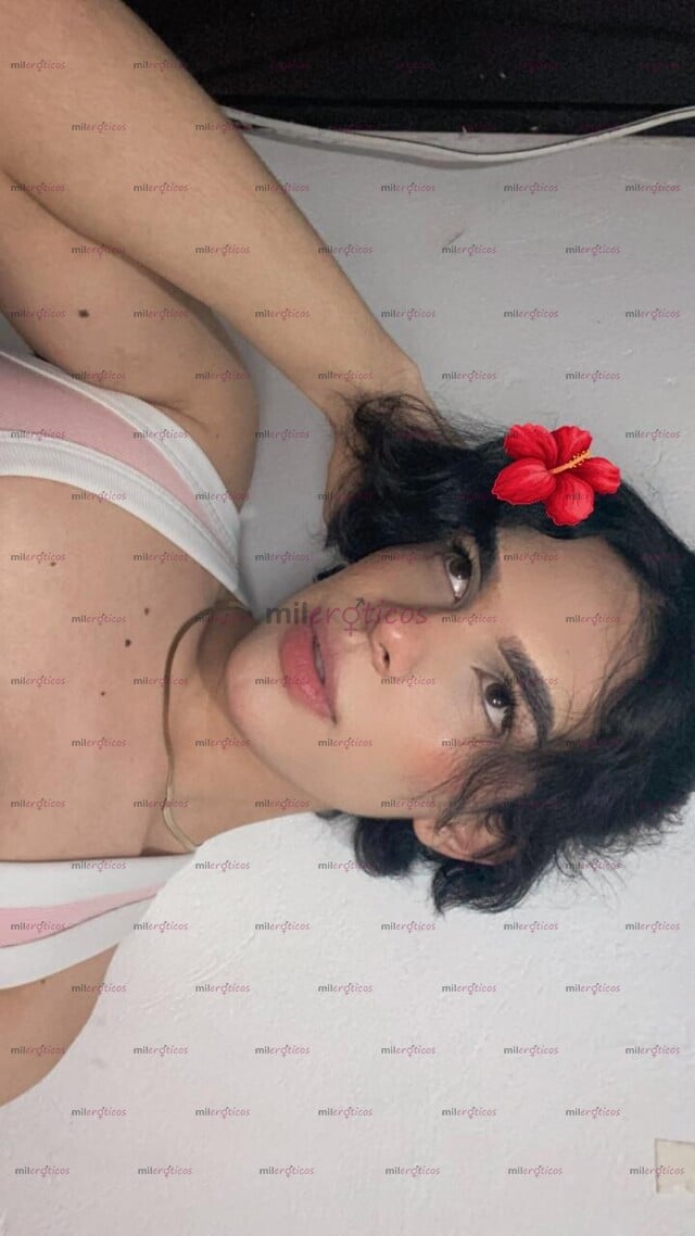 FOTOS DE SOY UN CHICO DULCE Y JOVEN CON GANAS DE COMPLACER CADA FANTASIA SEXUAL