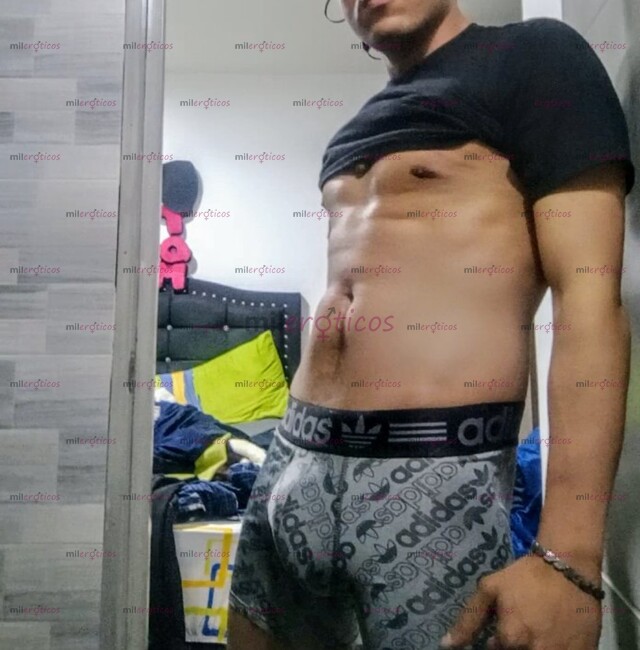 FOTOS DE ACTIVO VERGÓN LECHERO Y DOMINANTE DE PASO