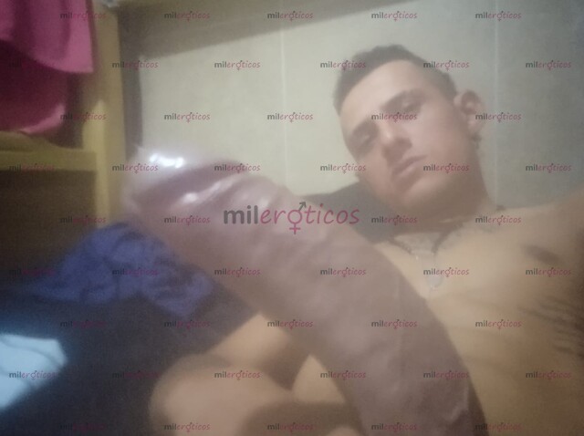 FOTOS DE POLLO FULL VERGON 20CM LECHERO MEJOR SERVICIO DE LA CIUDAD