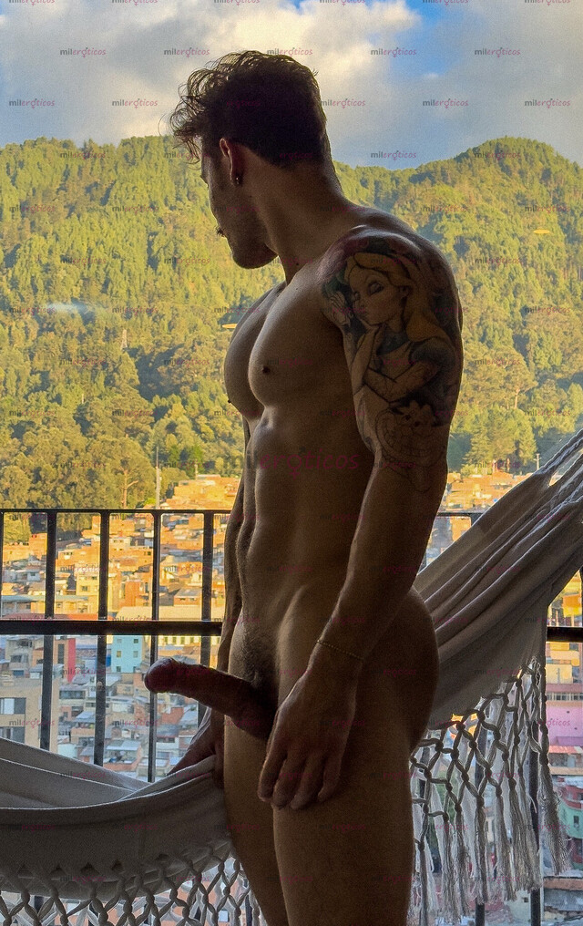 FOTOS DE VERGON 21CM CON SITIO EN EL NORTE DE BOGOTA