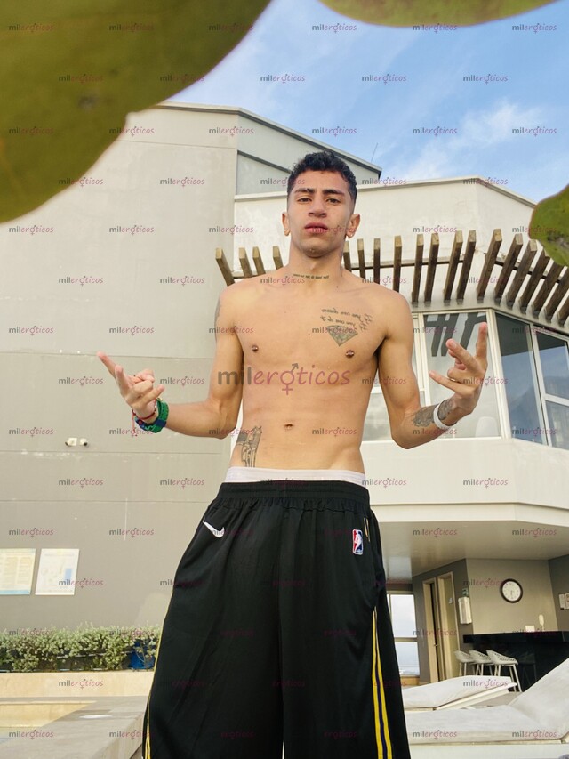 FOTOS DE POLLO SERIO RESERVADO, TATUADO 21 CM DE VERGA