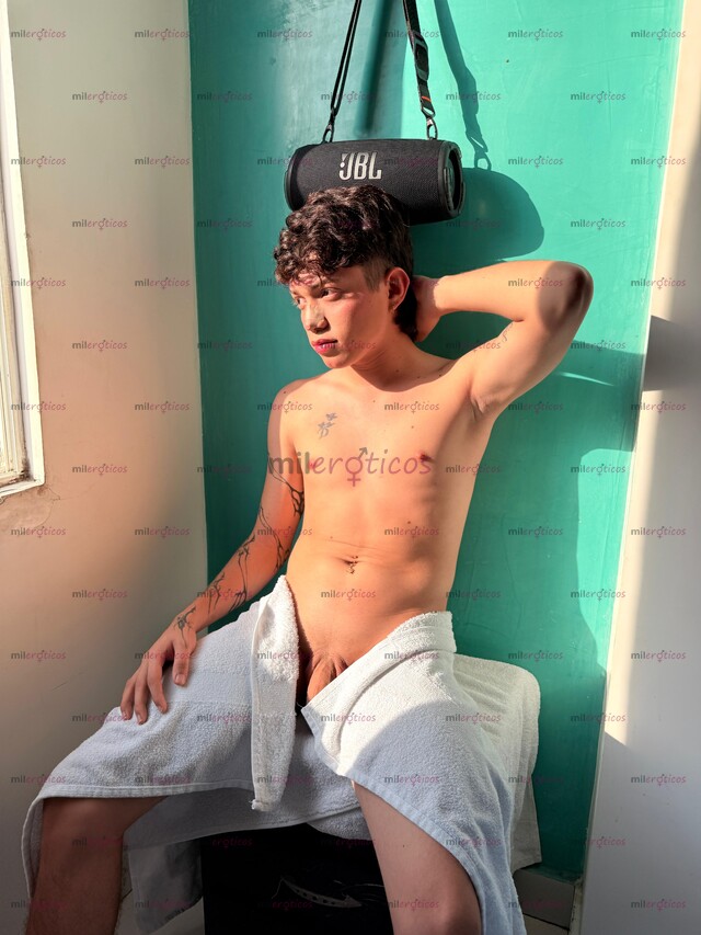 FOTOS DE POLLO LECHERO VERGÓN 20CM, 18 AÑOS DE PASO EN TU CIUDAD