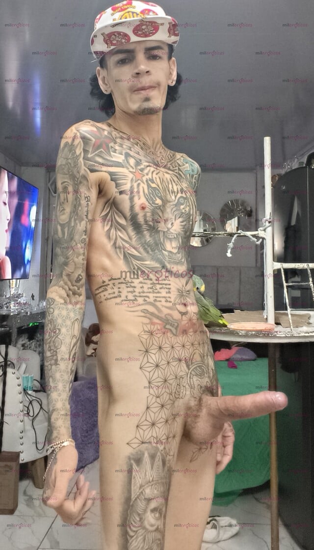 FOTOS DE FLACO ACTIVO BLANCO TATUADO MORBOSO RICO SEX