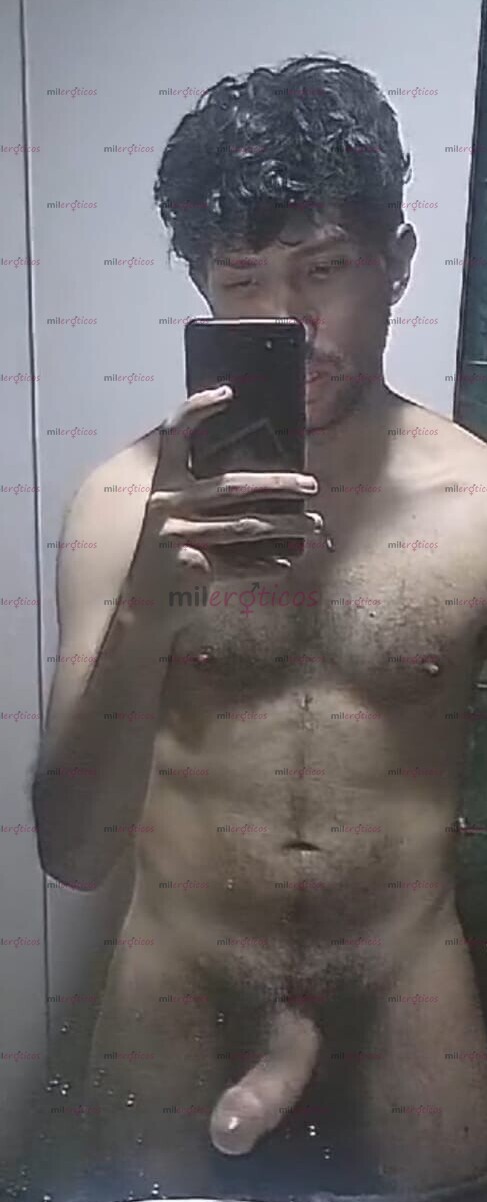 FOTOS DE CERDO MACHO VERGON PELUDO SUDADO EN BOGOTA