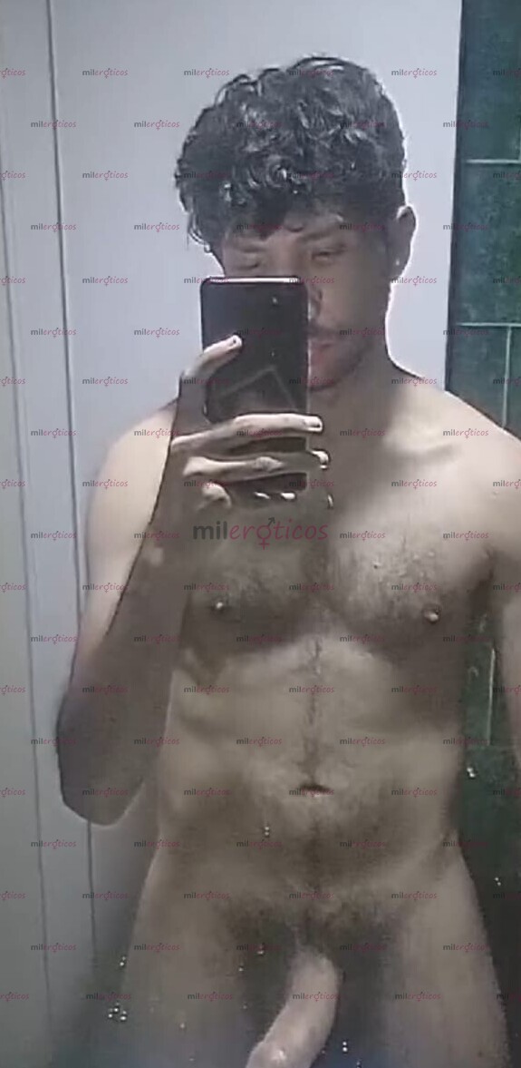 FOTOS DE CERDO MACHO VERGON PELUDO SUDADO EN BOGOTA