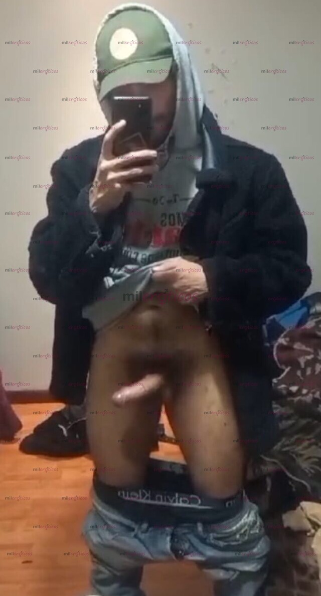 FOTOS DE CERDO MACHO VERGON PELUDO SUDADO EN BOGOTA