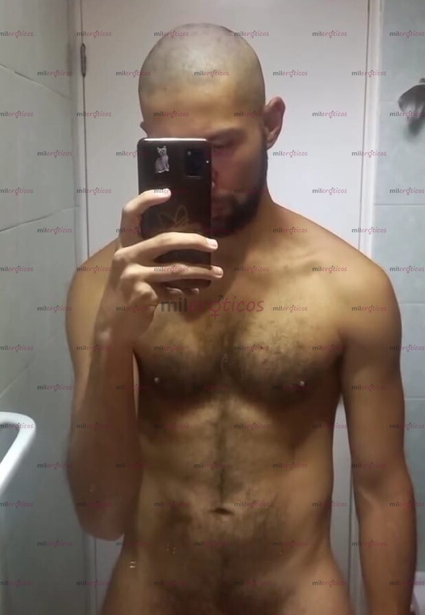 FOTOS DE CERDO MACHO VERGON PELUDO SUDADO EN BOGOTA