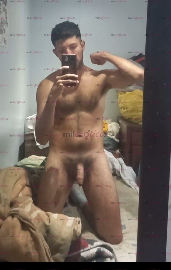 FOTOS DE CERDO MACHO VERGON PELUDO SUDADO EN BOGOTA