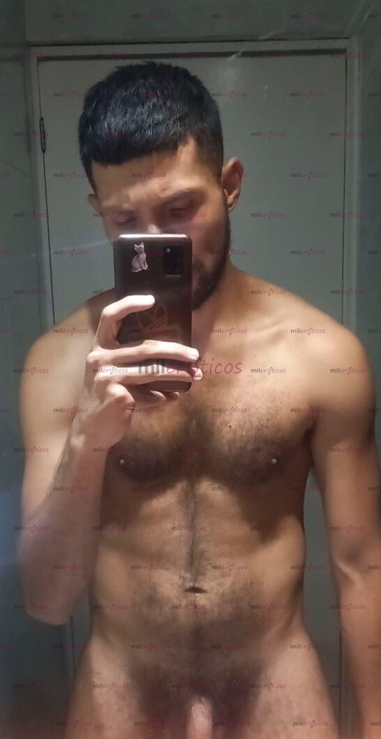 FOTOS DE CERDO MACHO VERGON PELUDO SUDADO EN BOGOTA