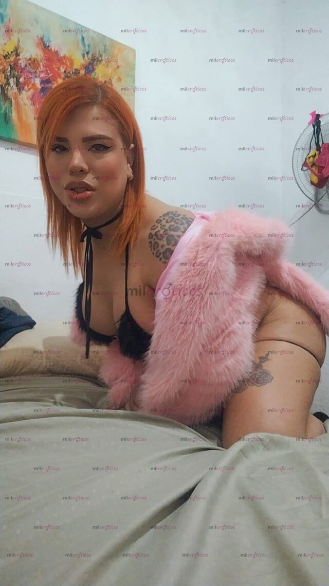 FOTOS DE TAMPICO DISPONIBLE CON LUGAR PAGO CON TARJETAS TRANSFERENCIAS EFECTIVO