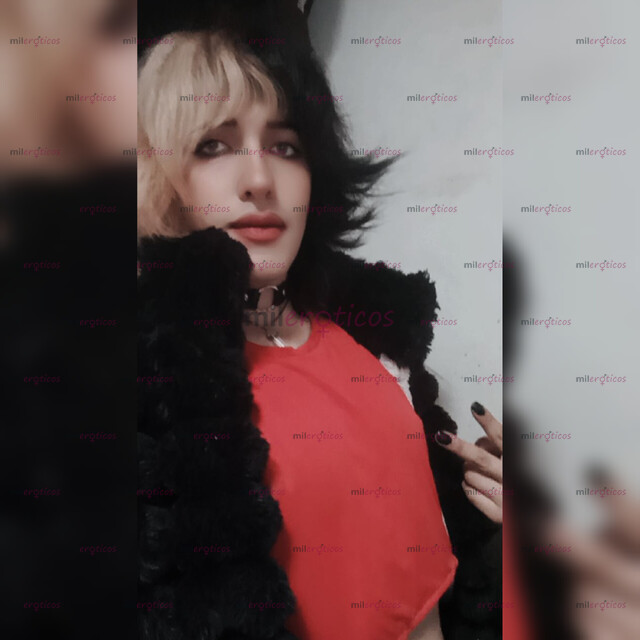 FOTOS DE DOMICILIO VIDEOLLAMADA HOT TU GATITA HOT