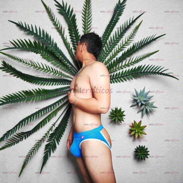 FOTOS DE ¡ESCRIBEME VAMOS A PASARLA RICO! INTER COMPLACIENTE